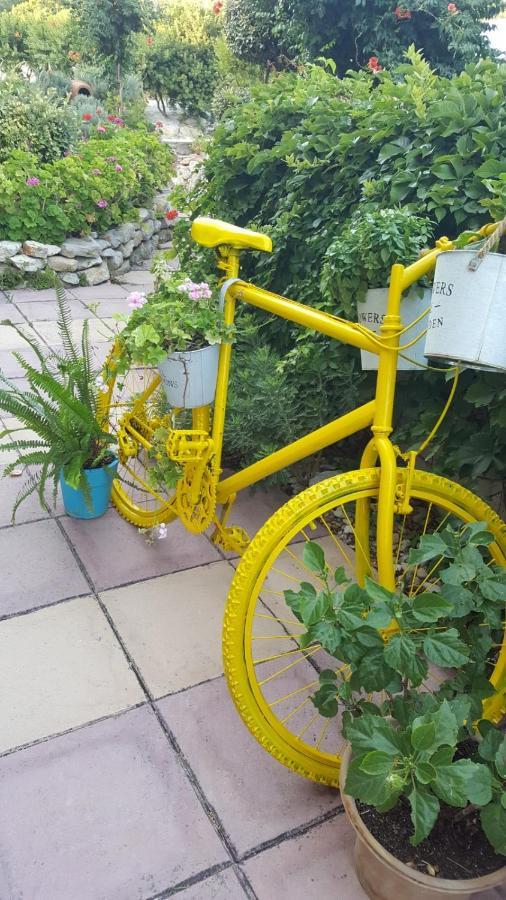 Yolanda Studios Paralia Agias Foteinis المظهر الخارجي الصورة